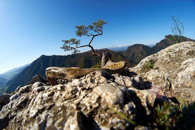 Pieninský národný park – Pieniny